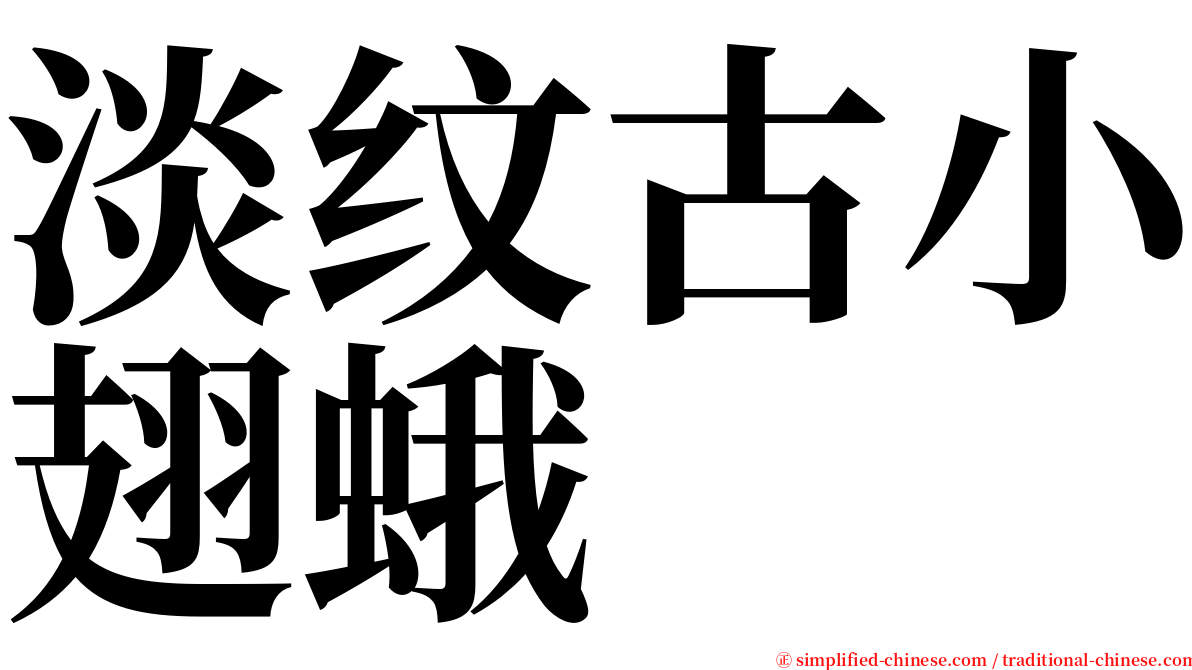 淡纹古小翅蛾 serif font