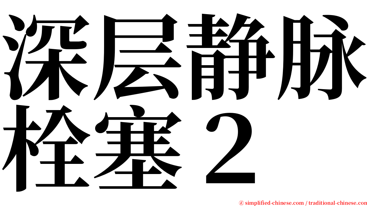 深层静脉栓塞２ serif font