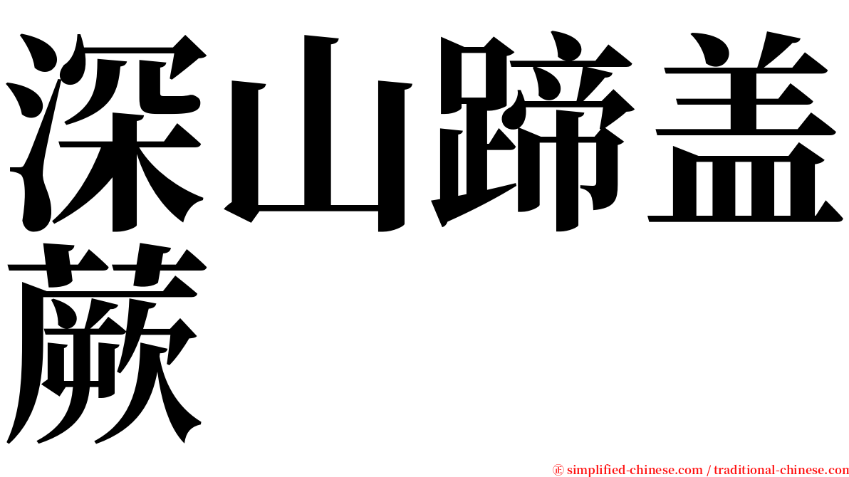 深山蹄盖蕨 serif font