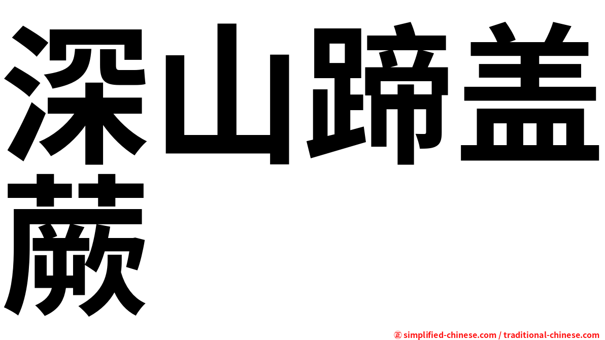 深山蹄盖蕨