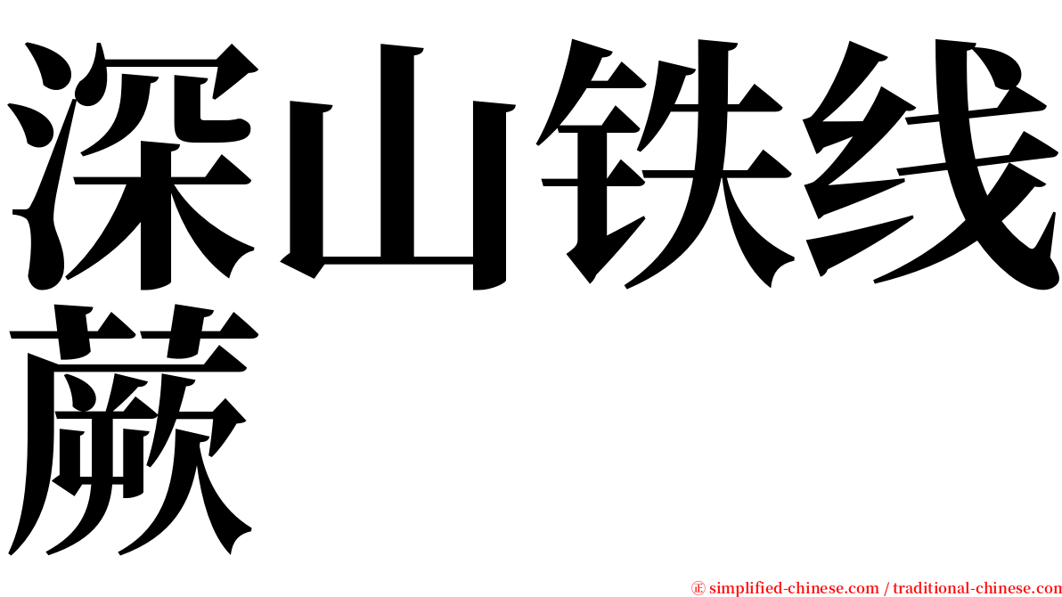 深山铁线蕨 serif font