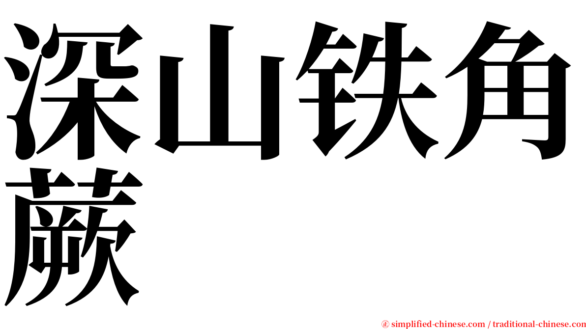 深山铁角蕨 serif font