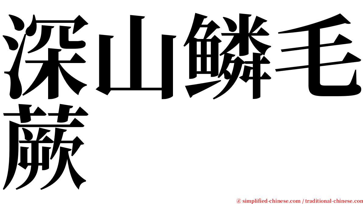 深山鳞毛蕨 serif font