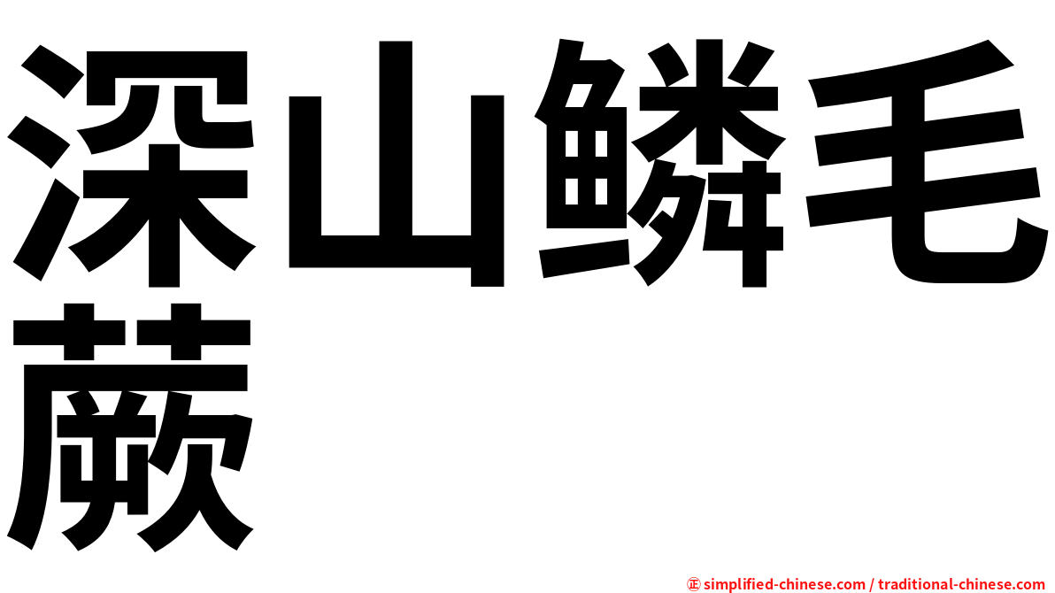 深山鳞毛蕨