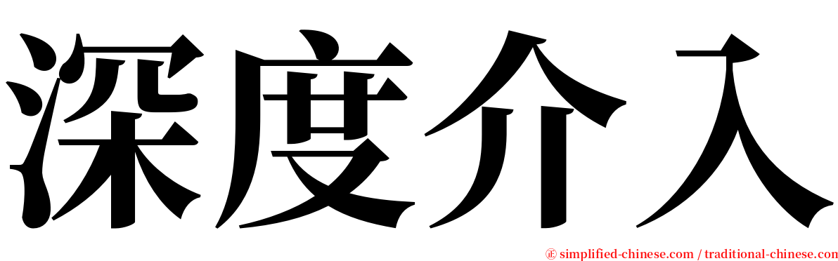 深度介入 serif font