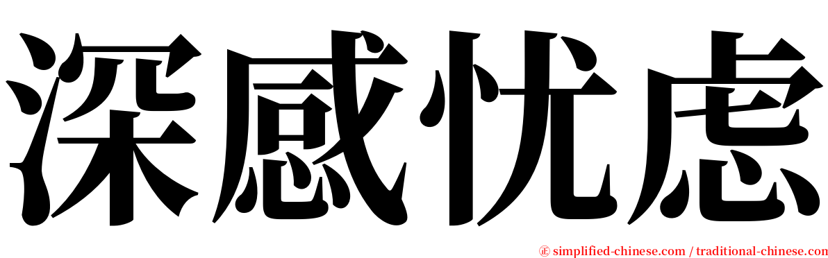 深感忧虑 serif font