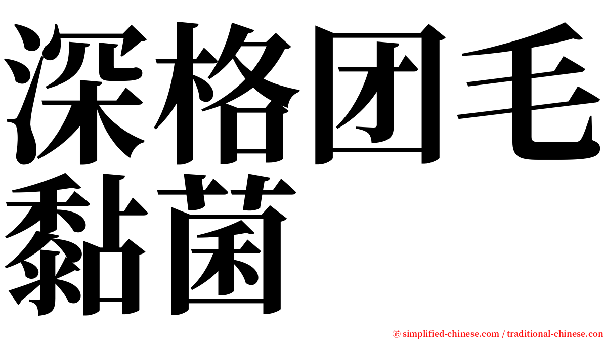 深格团毛黏菌 serif font