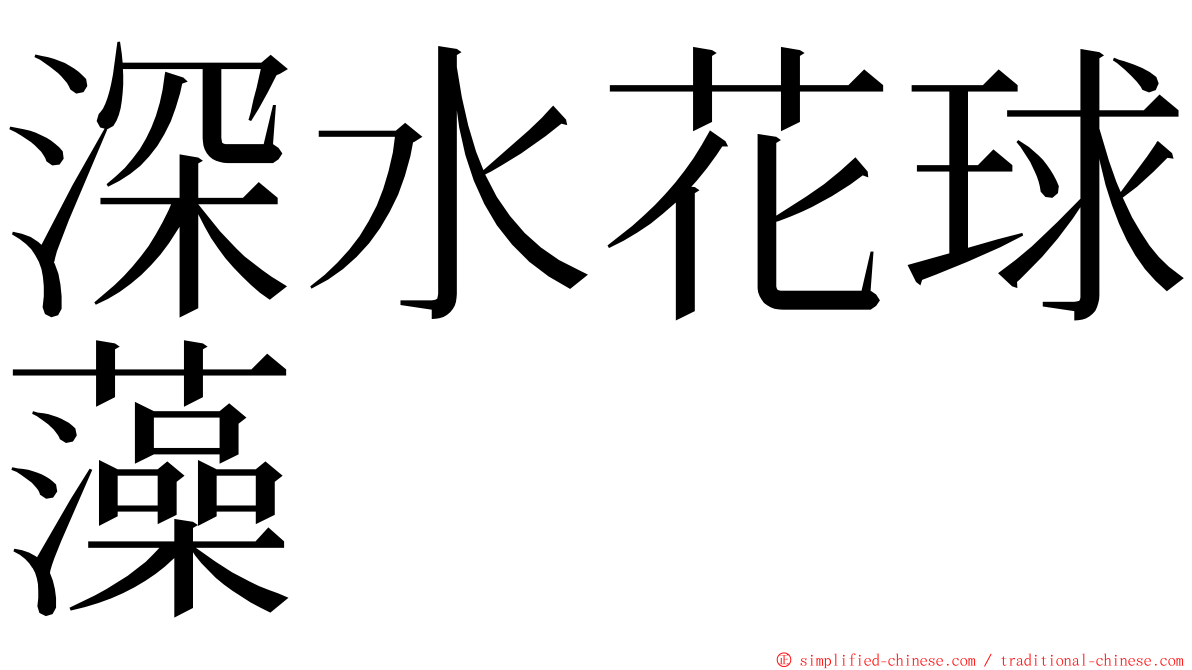 深水花球藻 ming font