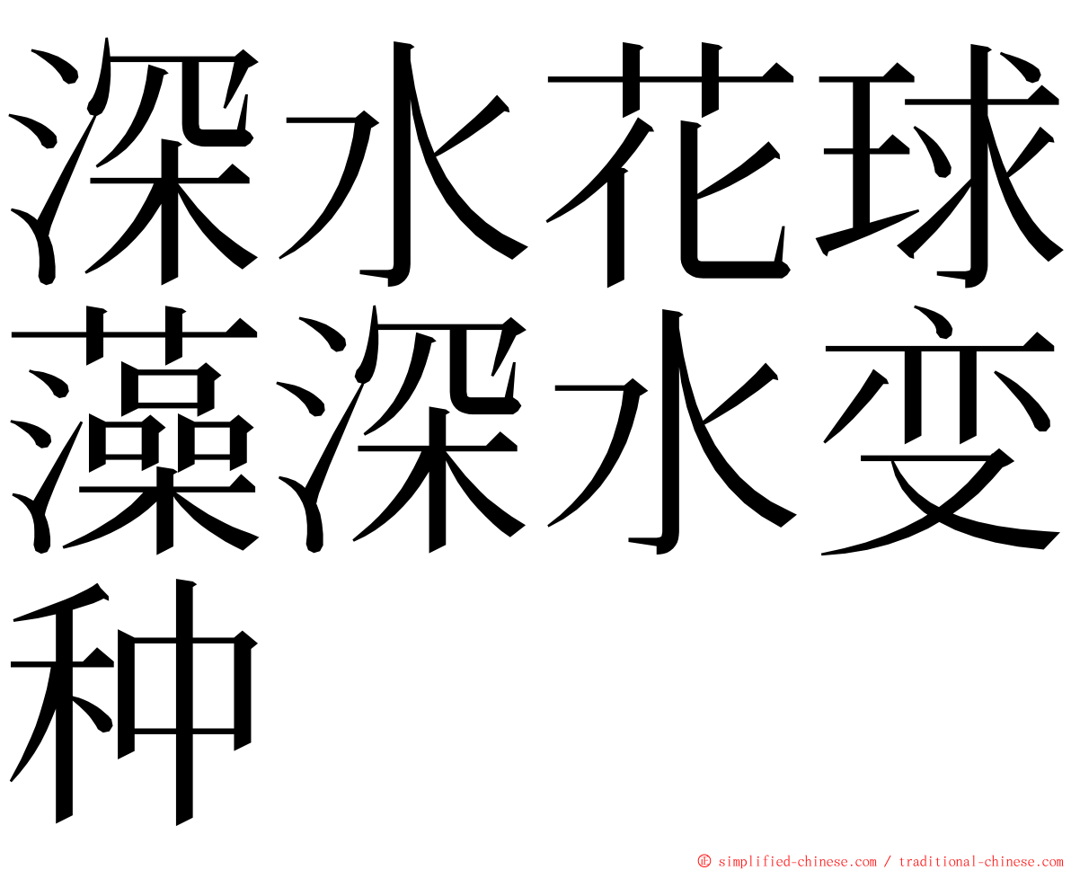 深水花球藻深水变种 ming font