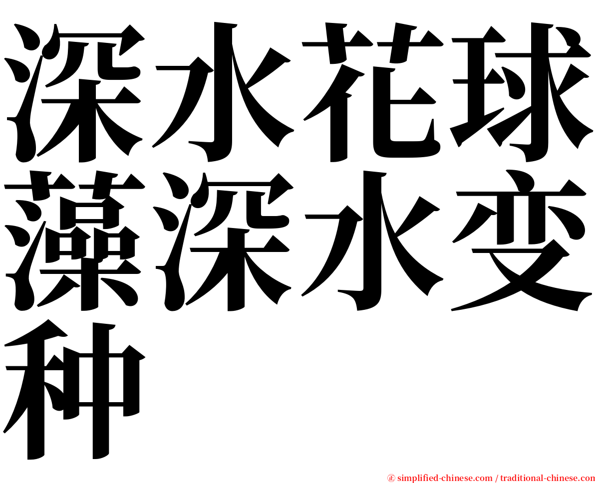 深水花球藻深水变种 serif font