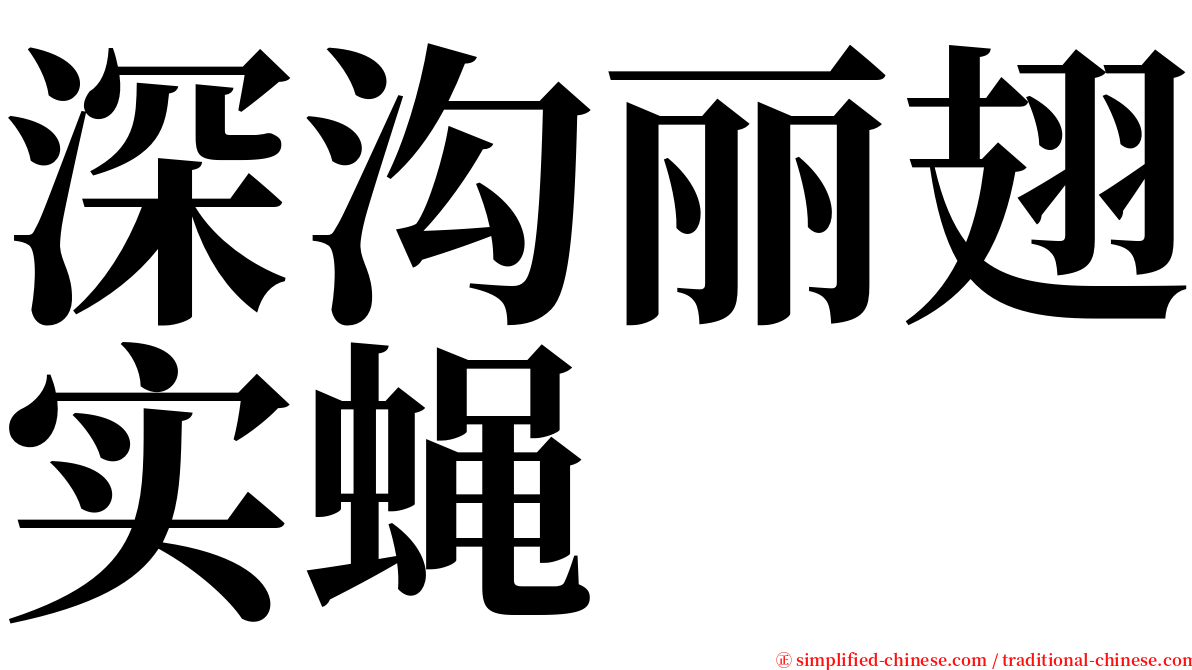 深沟丽翅实蝇 serif font