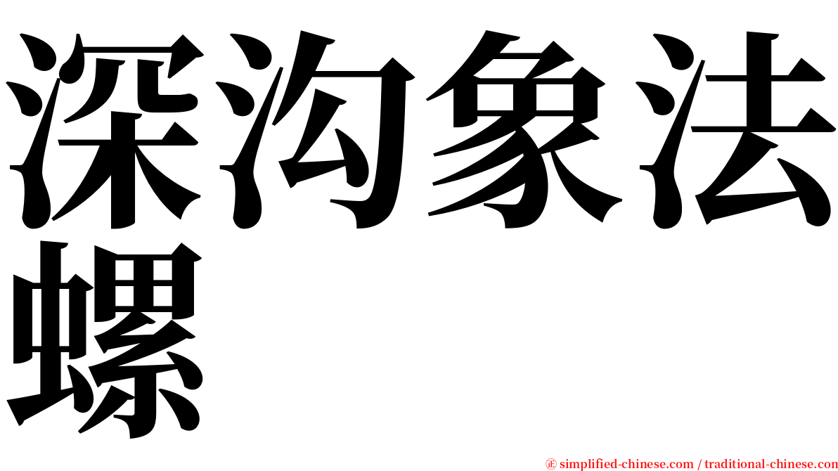 深沟象法螺 serif font