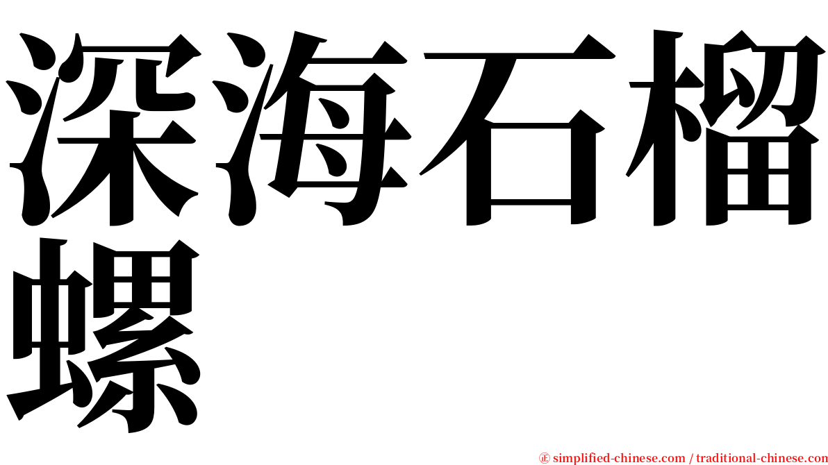 深海石榴螺 serif font