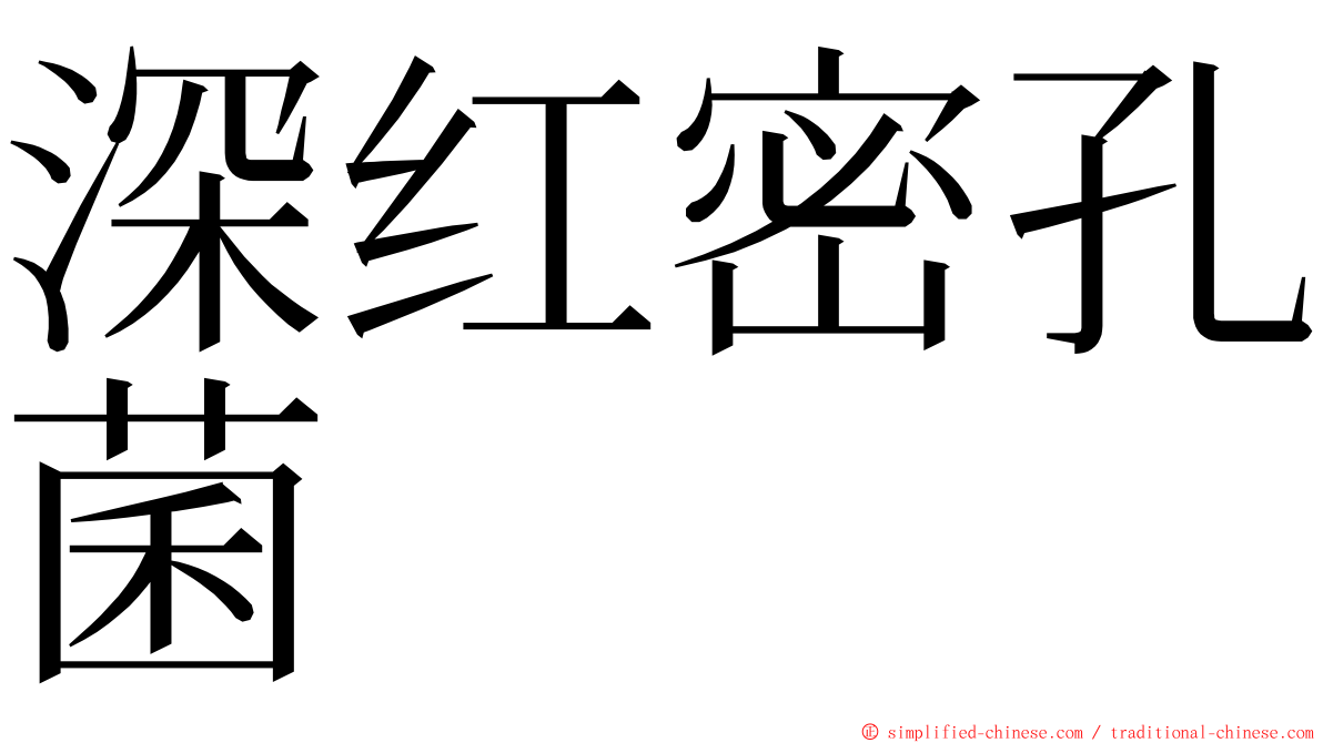 深红密孔菌 ming font