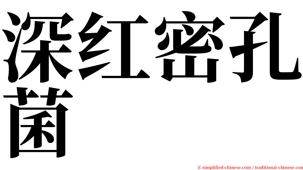 深红密孔菌 serif font