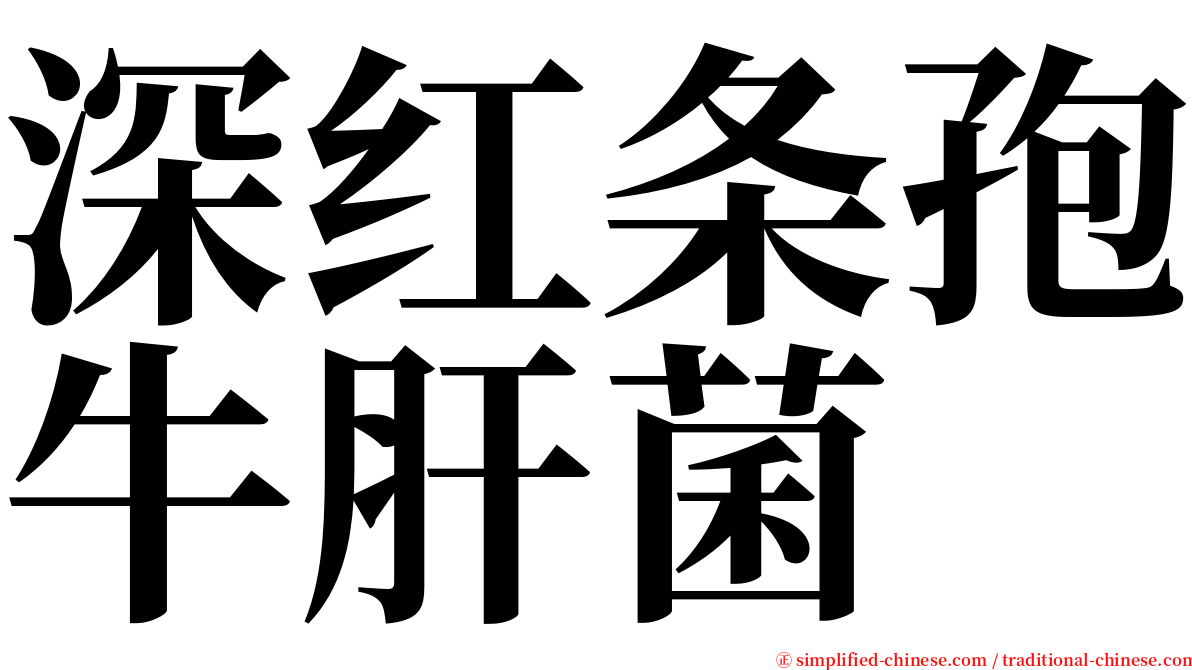 深红条孢牛肝菌 serif font