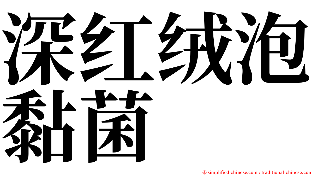 深红绒泡黏菌 serif font