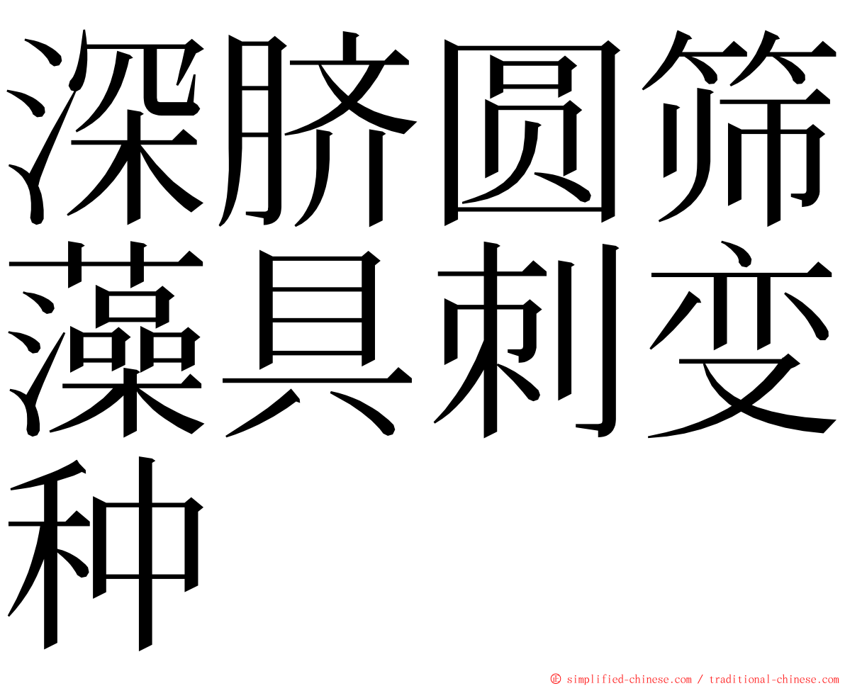 深脐圆筛藻具刺变种 ming font