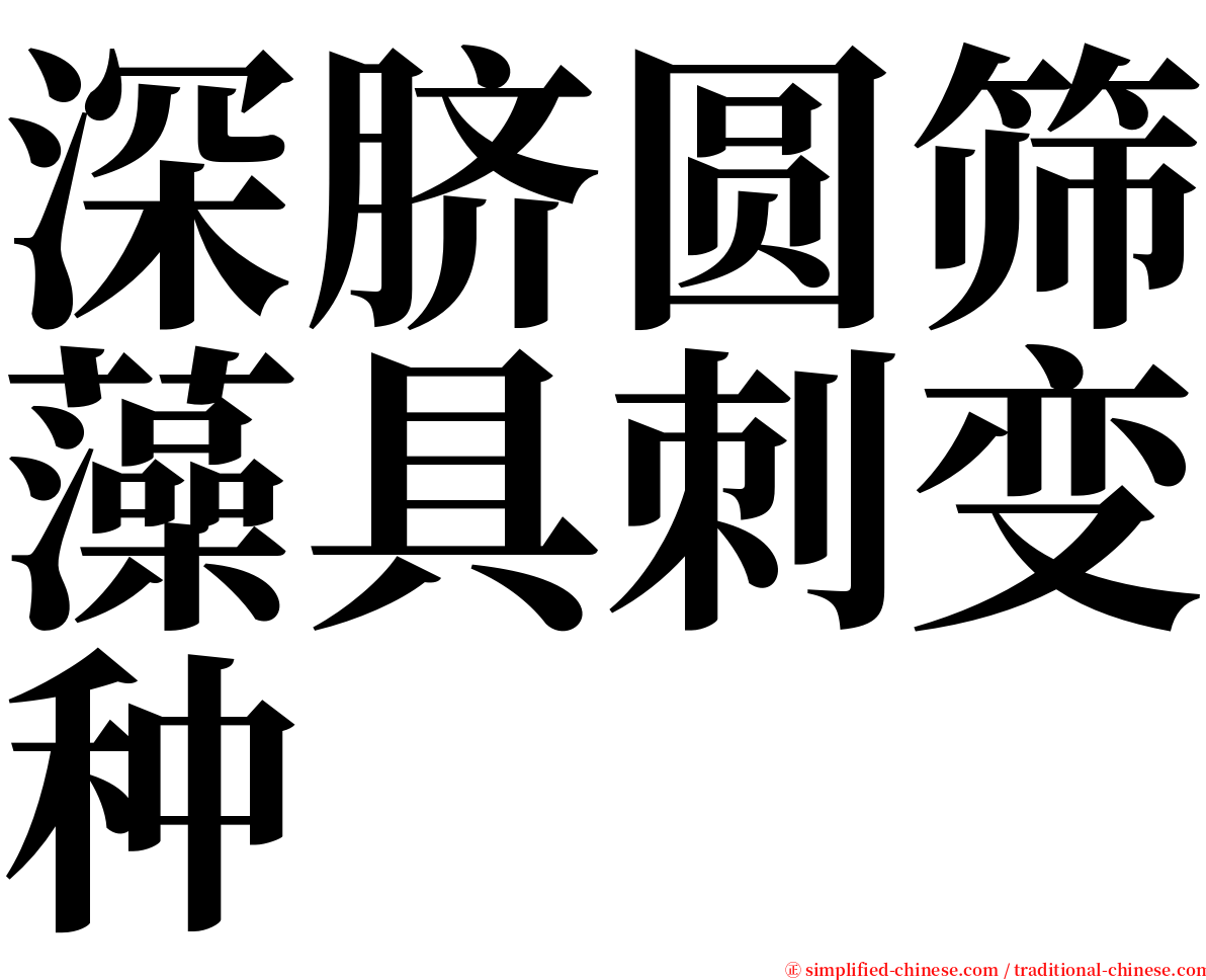 深脐圆筛藻具刺变种 serif font