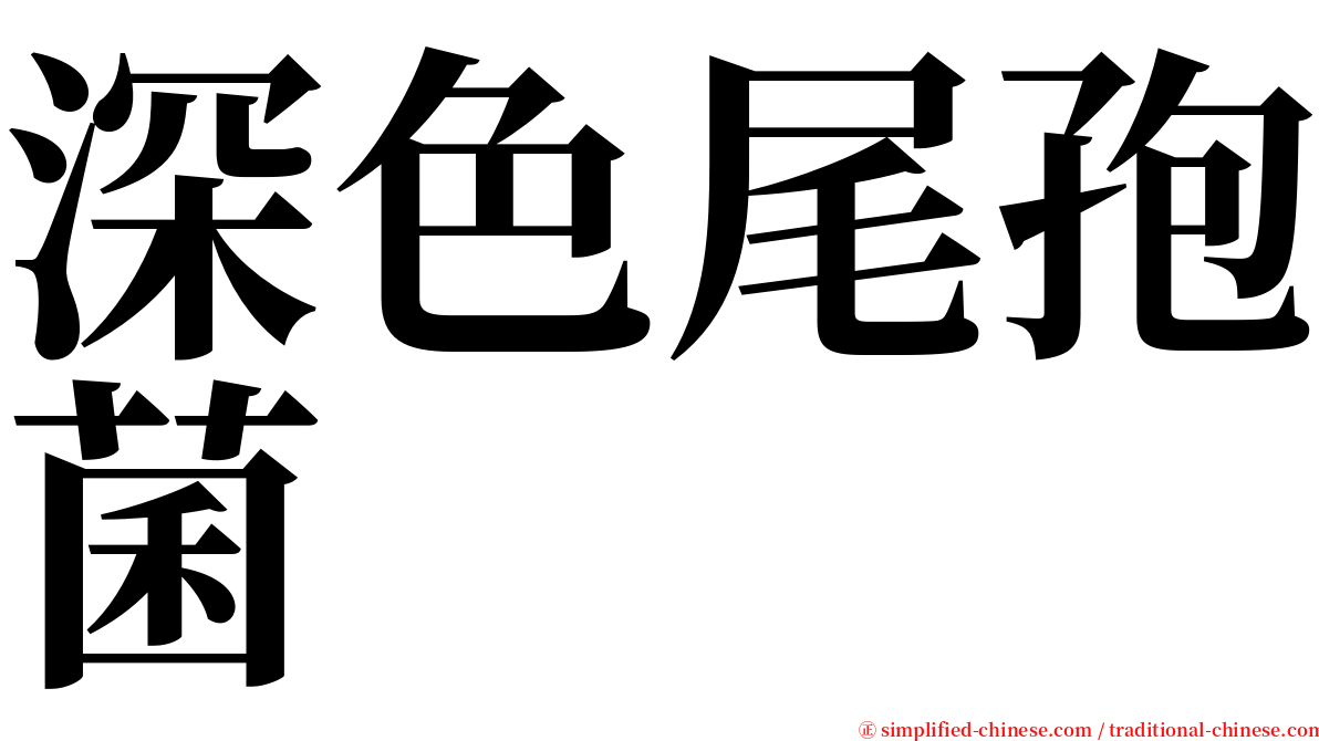 深色尾孢菌 serif font