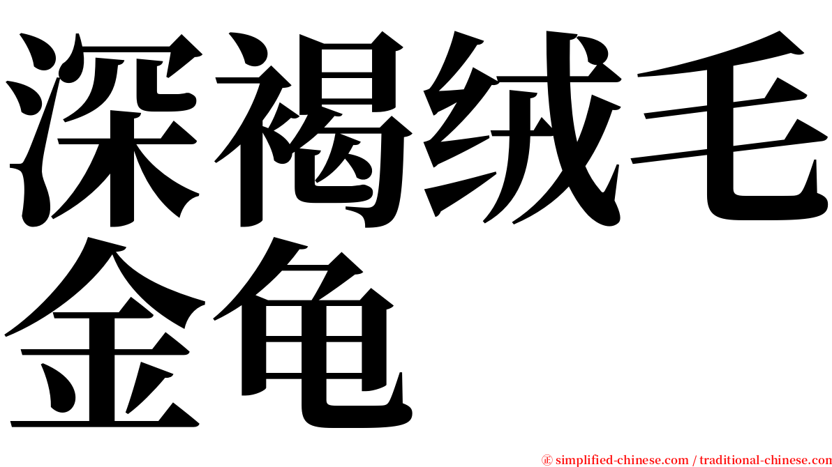 深褐绒毛金龟 serif font