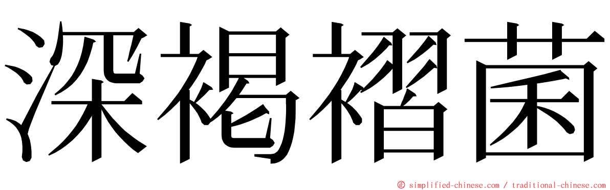 深褐褶菌 ming font