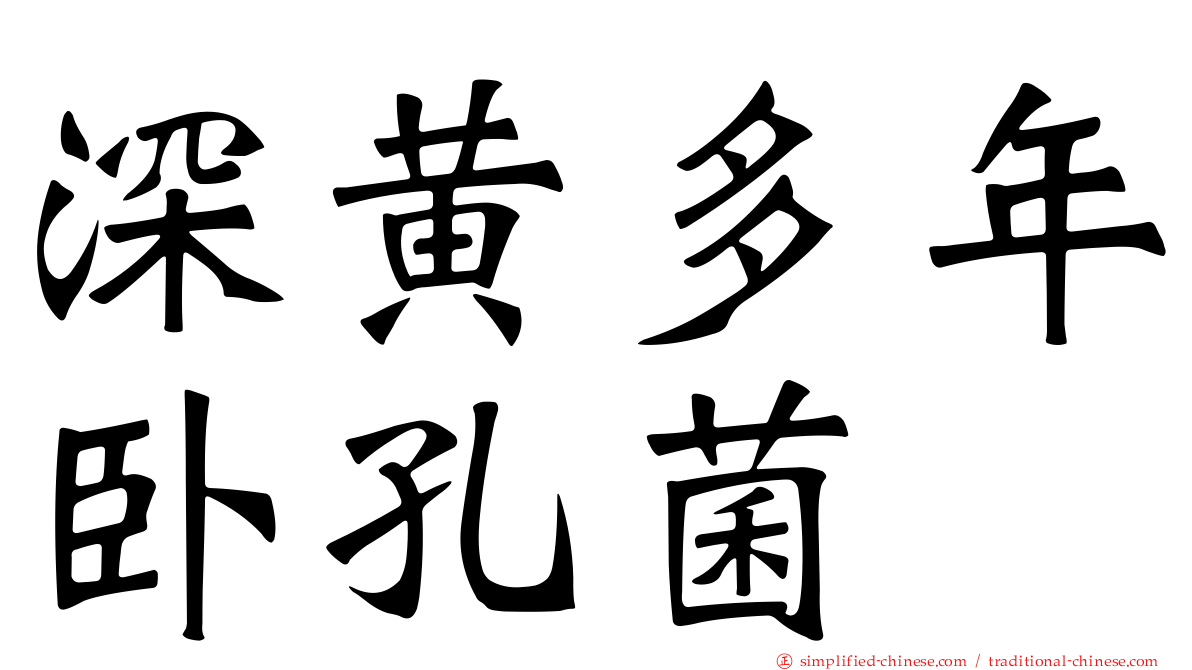 深黄多年卧孔菌