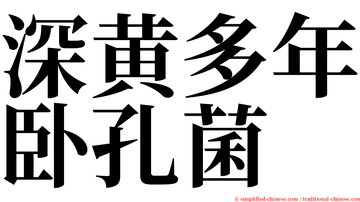 深黄多年卧孔菌 serif font
