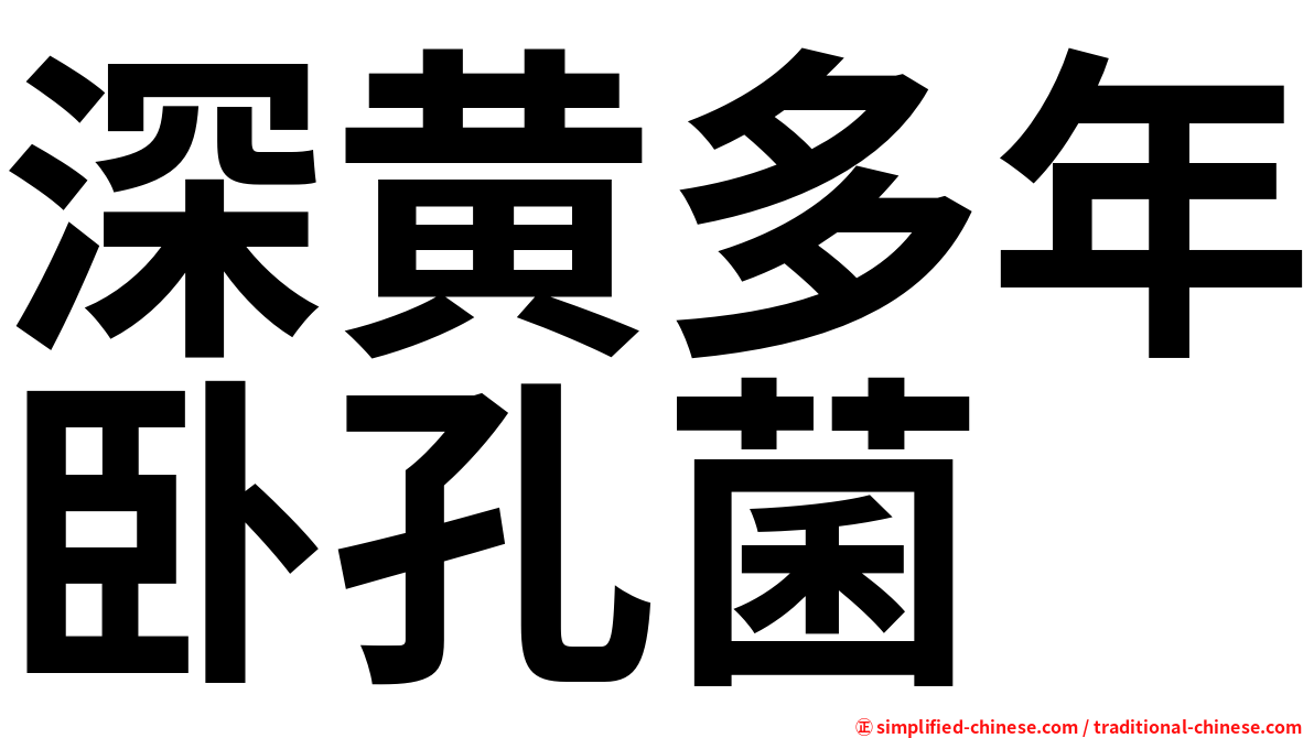 深黄多年卧孔菌