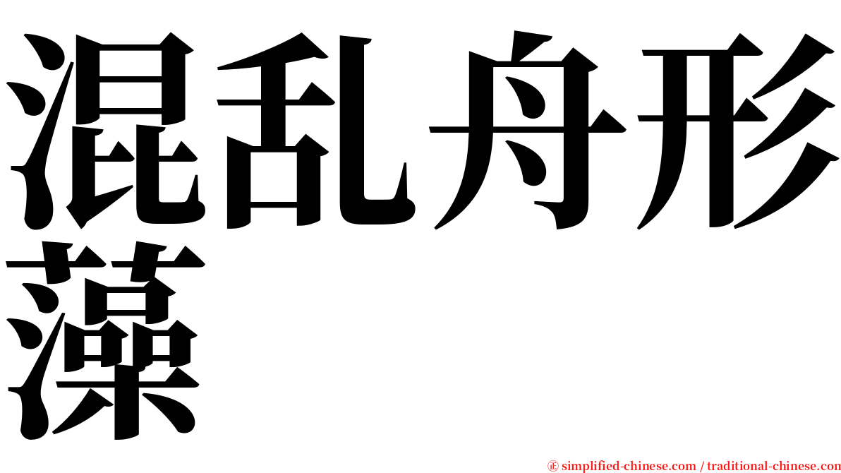 混乱舟形藻 serif font