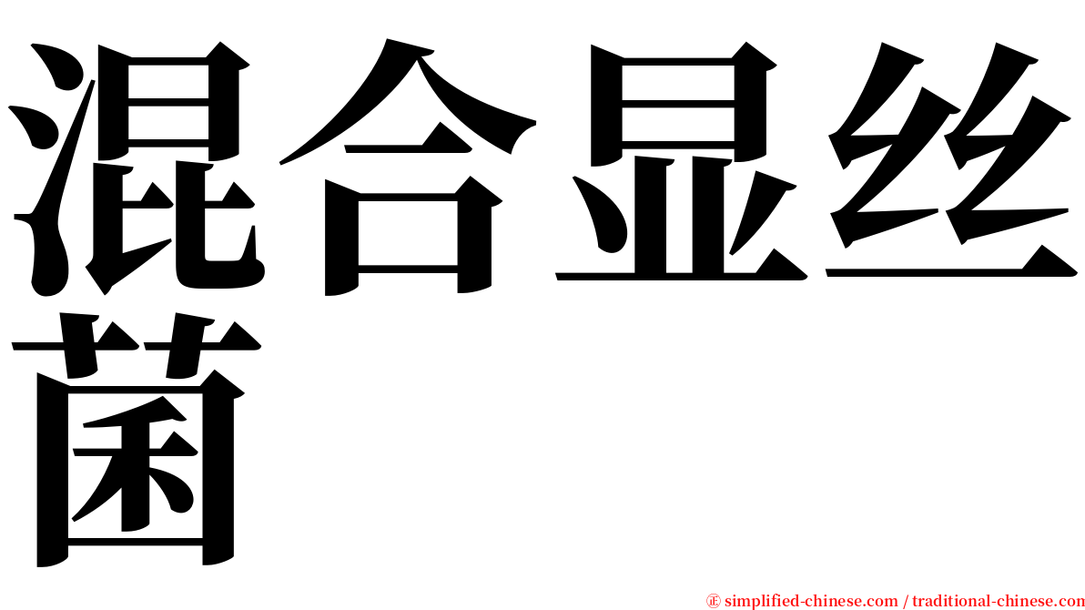 混合显丝菌 serif font