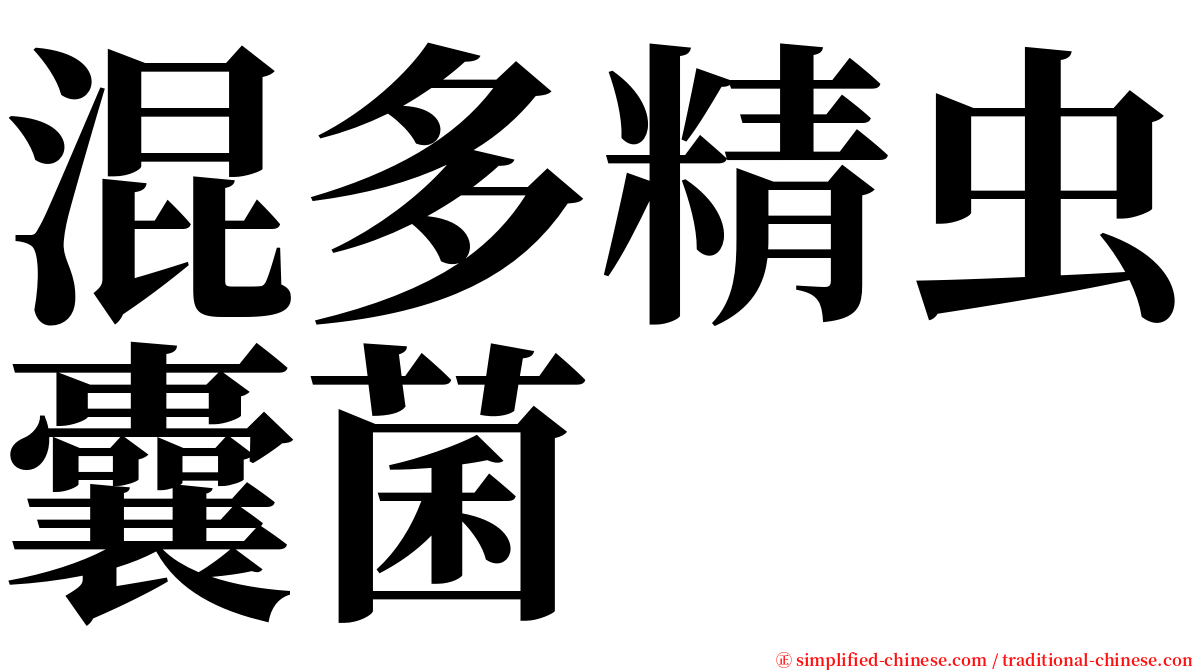 混多精虫囊菌 serif font