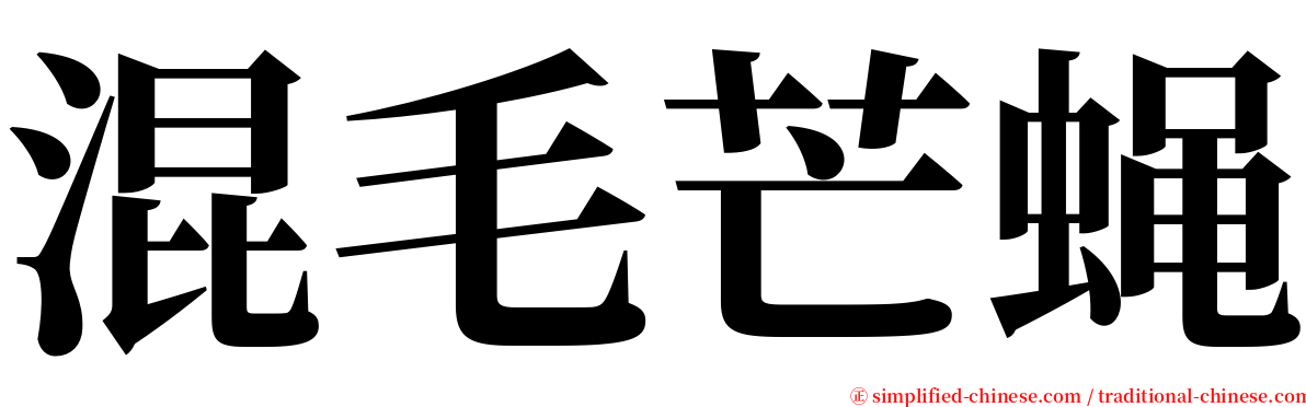 混毛芒蝇 serif font