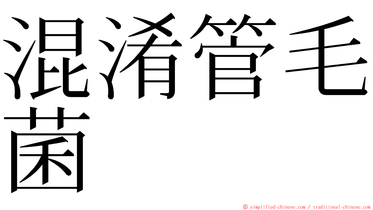 混淆管毛菌 ming font