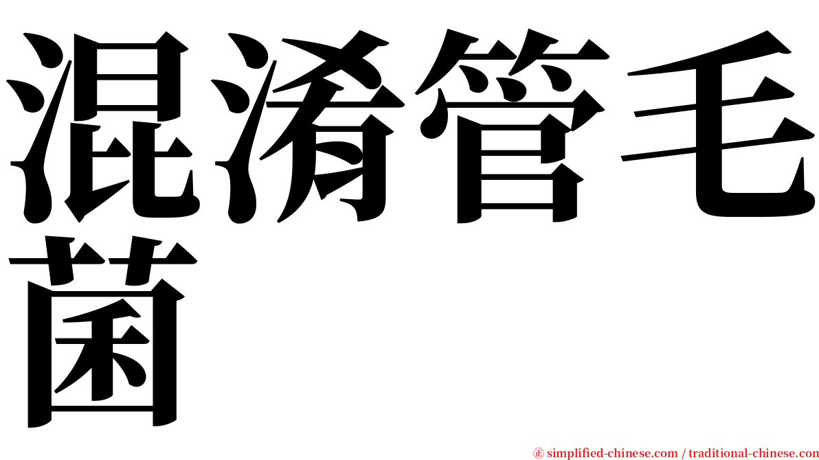 混淆管毛菌 serif font