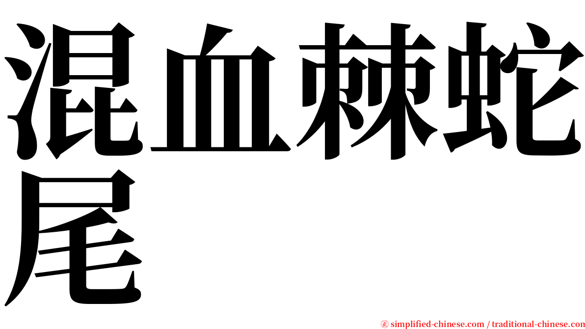 混血棘蛇尾 serif font