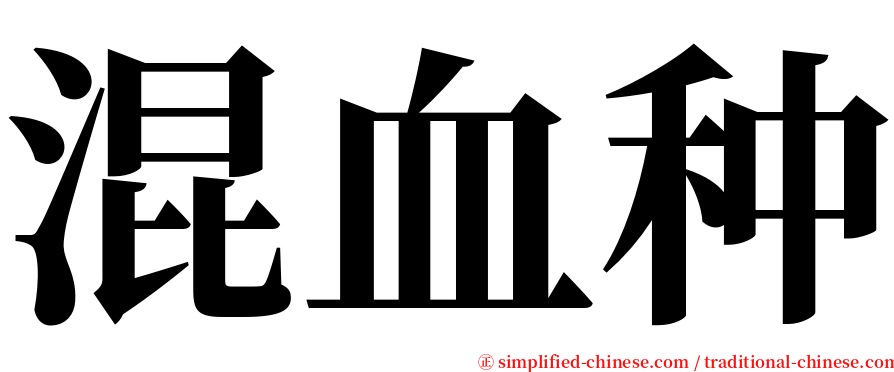 混血种 serif font