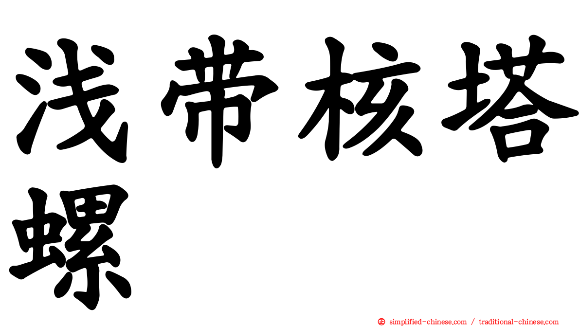 浅带核塔螺