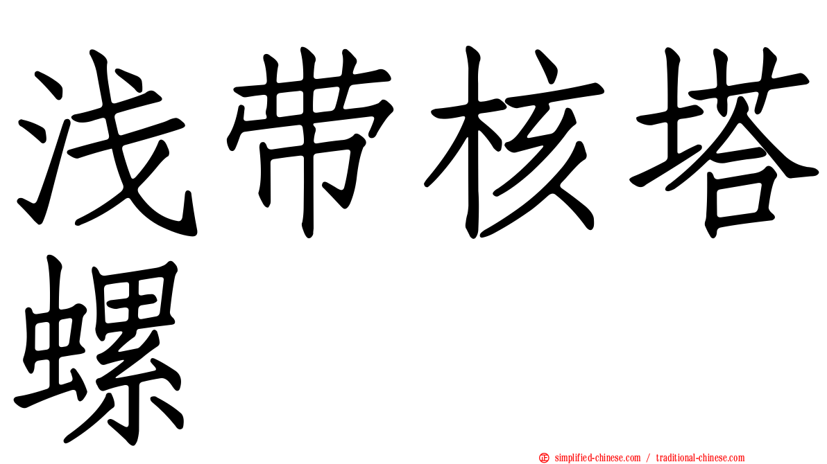 浅带核塔螺