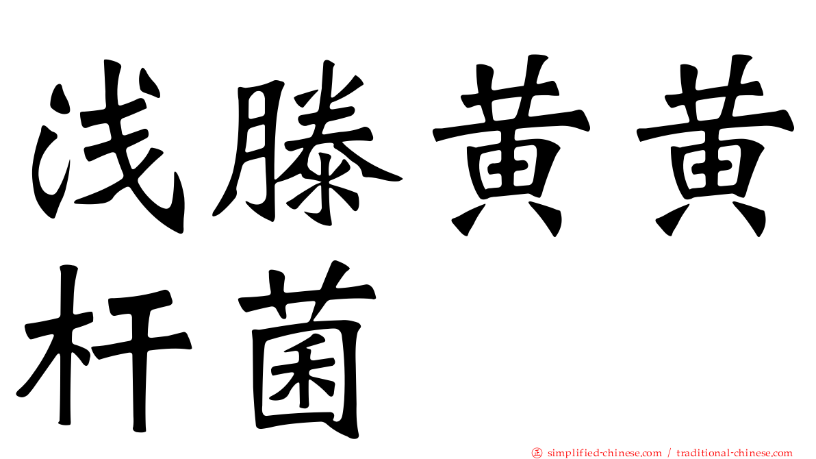 浅滕黄黄杆菌