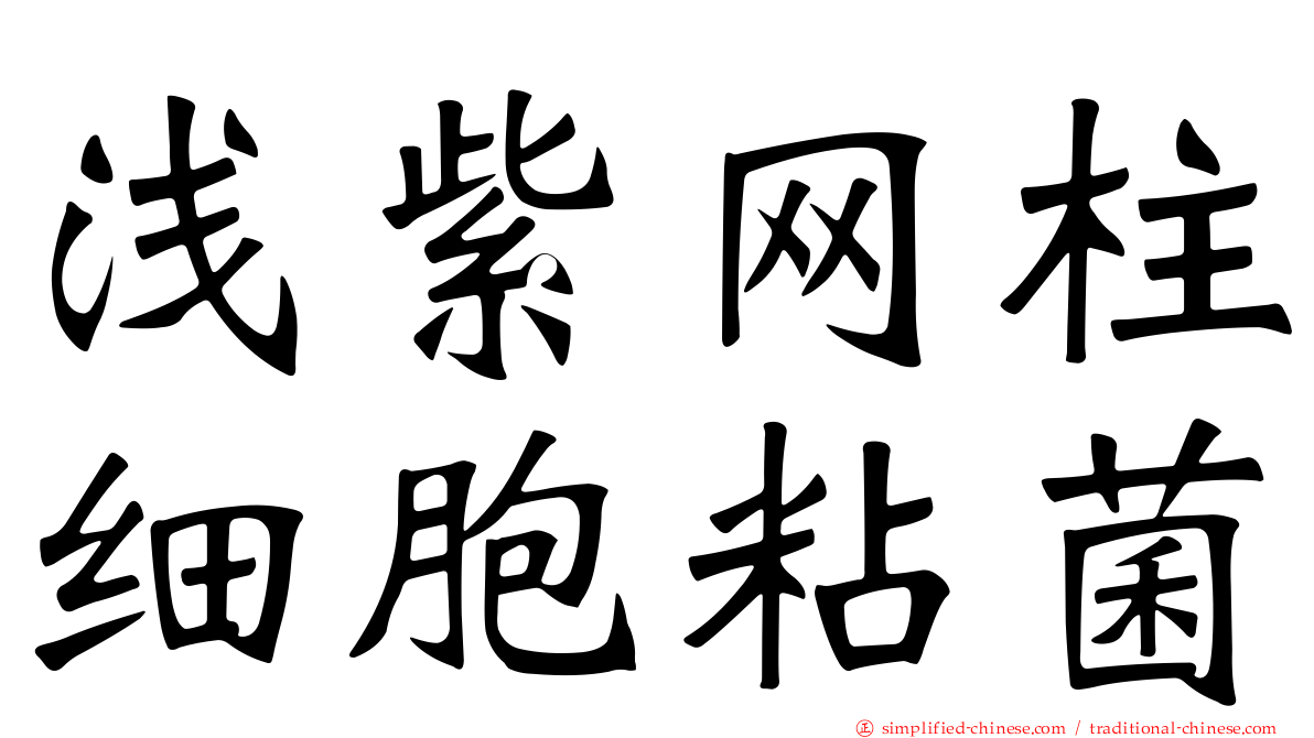 浅紫网柱细胞粘菌