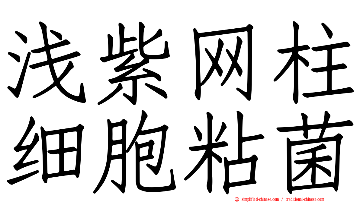 浅紫网柱细胞粘菌