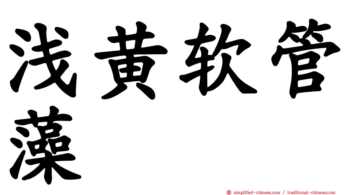 浅黄软管藻