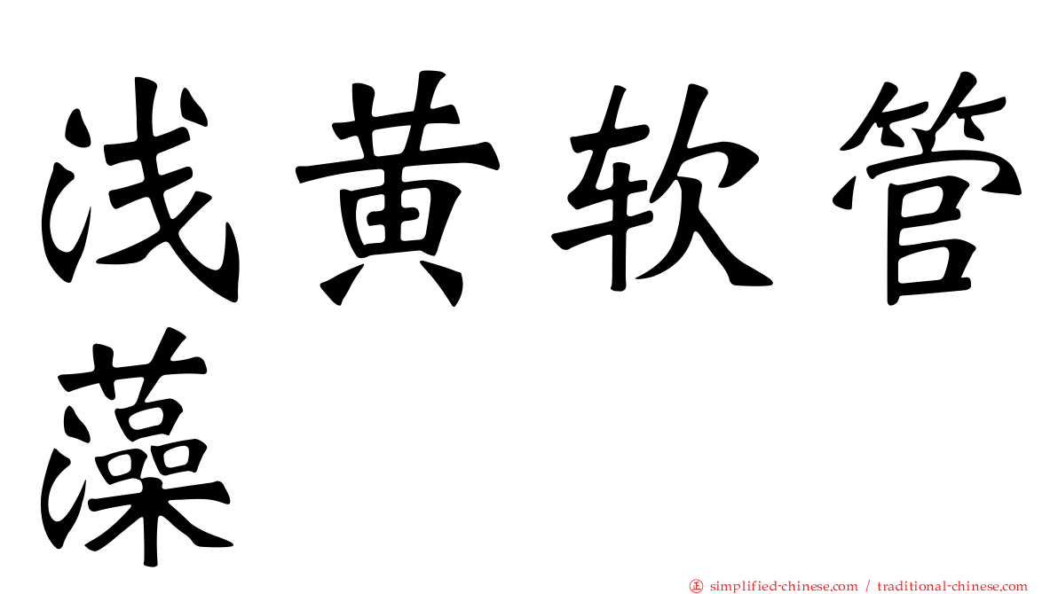 浅黄软管藻