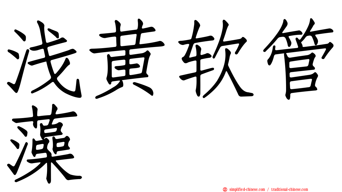浅黄软管藻
