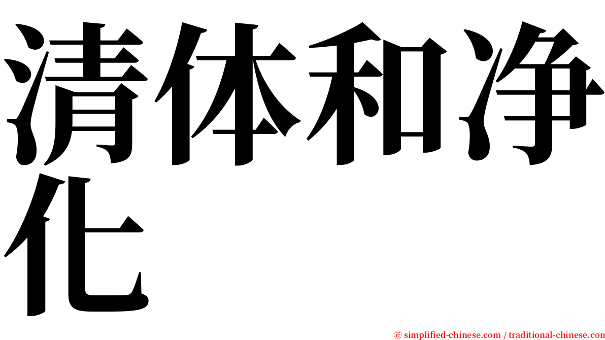 清体和净化 serif font