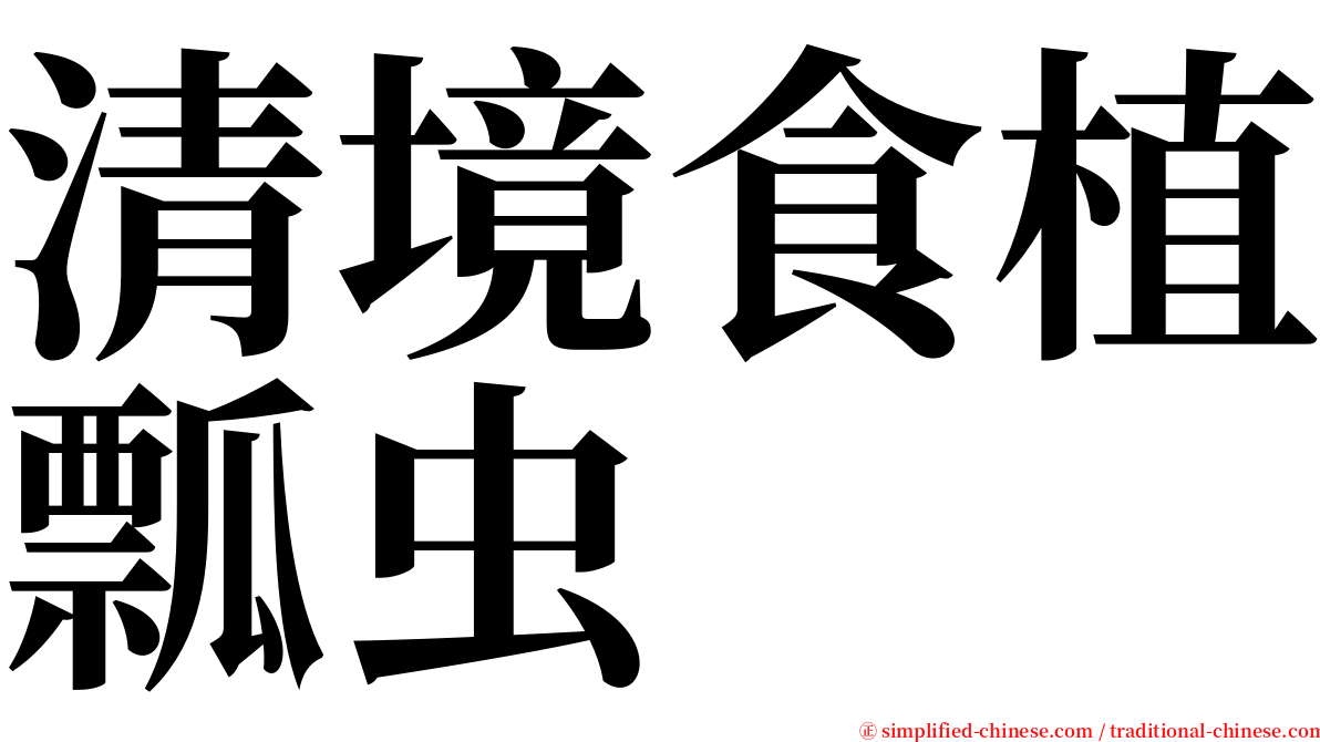 清境食植瓢虫 serif font