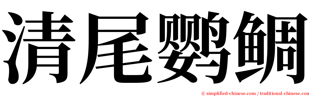 清尾鹦鲷 serif font