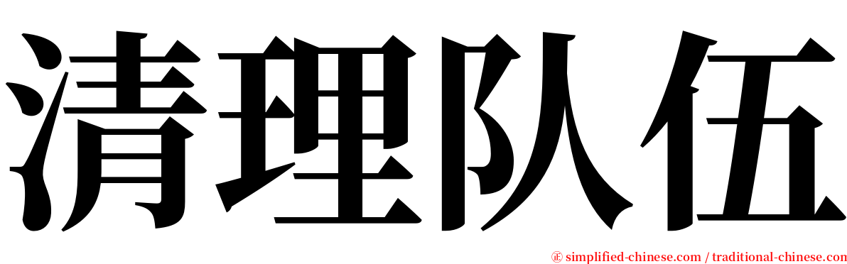 清理队伍 serif font