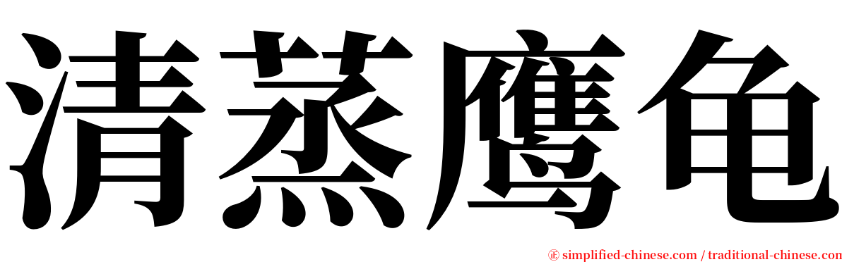 清蒸鹰龟 serif font